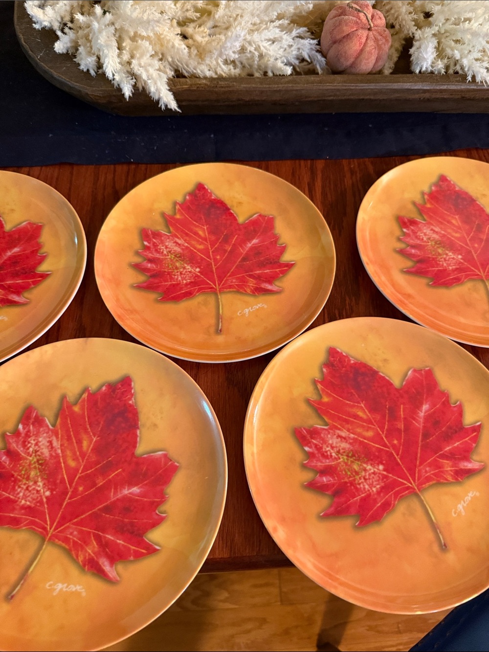 Citrus Grove Set of 10 Fall Maple Leaf Dessert Plates Hard Plastic